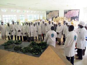 Read more about the article Grassroots Training on Promotion and Utilization of Indigenous Vegetables, Emuhaya, Vihiga County.