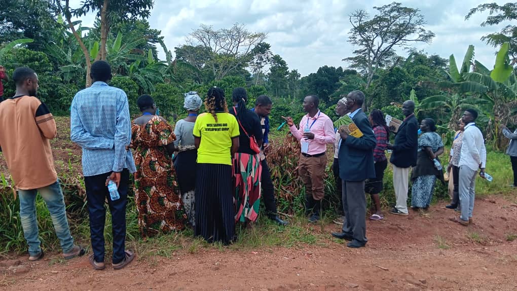 Read more about the article Promoting Soybean Commercialization in Uganda: AICAD’s Initiative to Empower Farmers in Luwero District